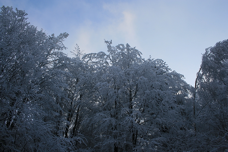 Bieszczady 12.2007 047